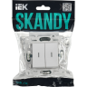 Выключатель 2-клавишный с индикацией IEK SKANDY 10А SK-V09W арктический белый SK-V20-1-10-K01